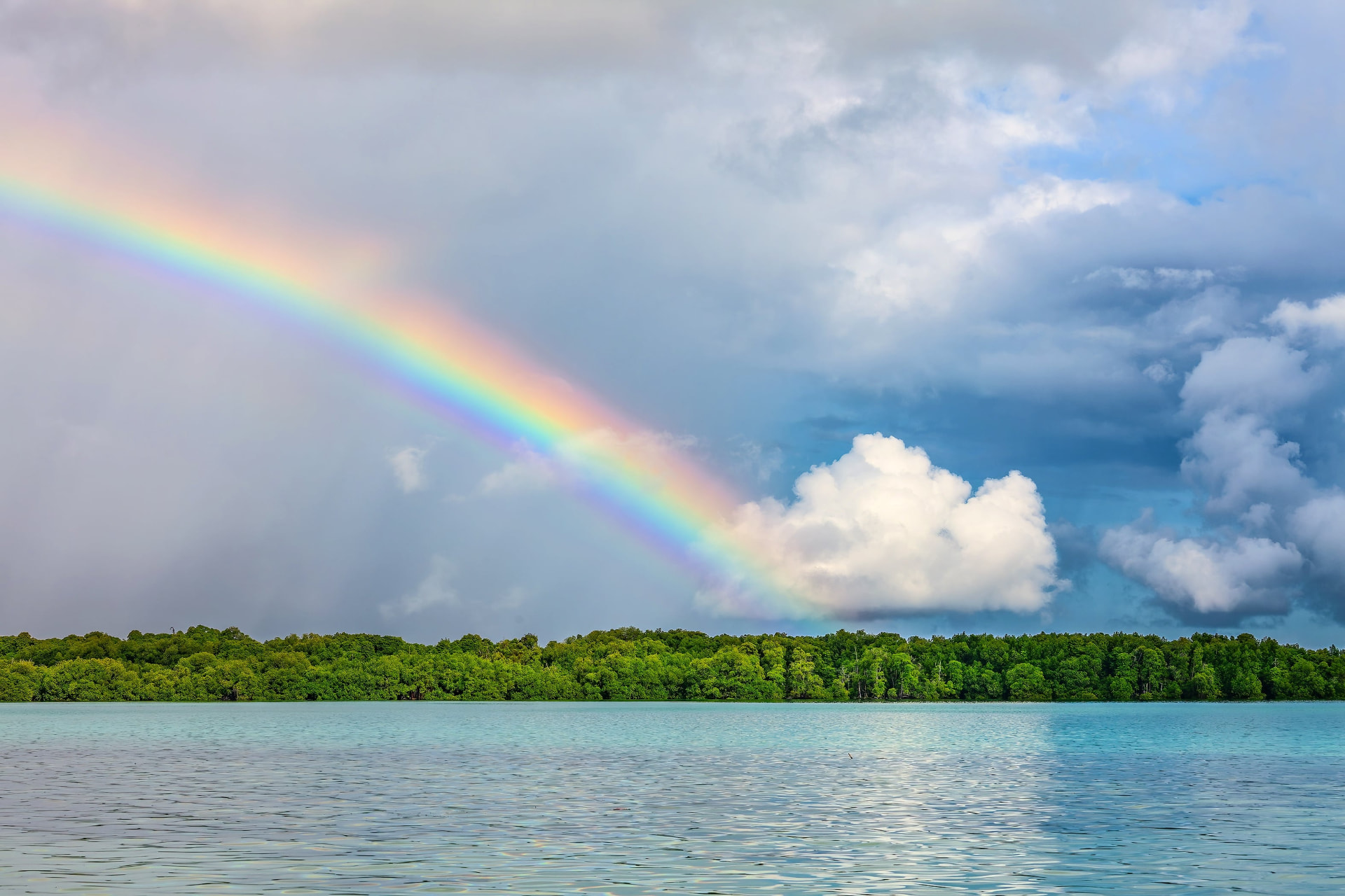 A rainbow arching over calm water and a forested shore